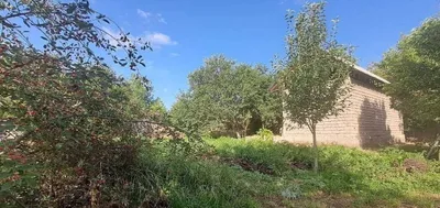 Hovli uchun bo'sh yer 1