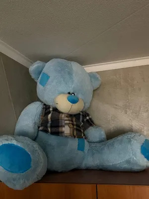 katta plyush ayiqcha teddy. 1