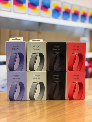 Google Fitbit Air 1