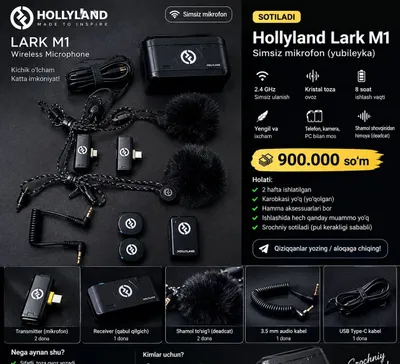 Holly land m2 mikrafon 1