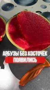Бессемянные арбузы 1