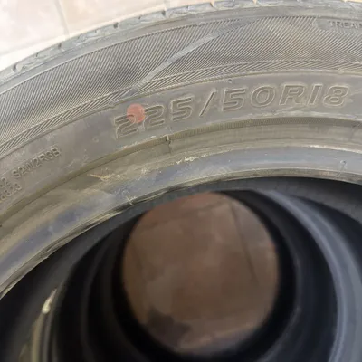 Balon byd seal 6 1