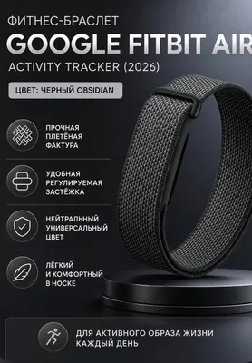 Google Fitbit Air 1