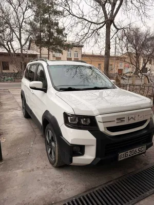 SWM Tiger EDI Hybrid 1