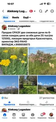 Срочно продаются два дачных участка за 25000