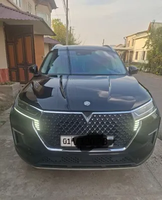 Venucia Star (совместный проект Dongfeng Nissan) 1