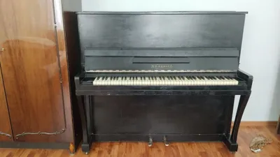 Belarus pianinosi sotiladi 1