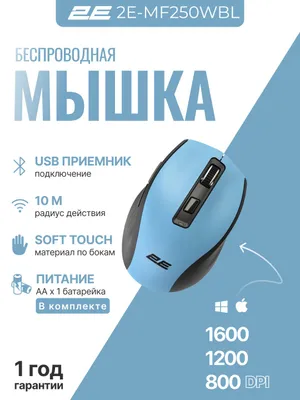 Simsiz ofis sichqonchasi 2E MF250 WL, ko‘k 1