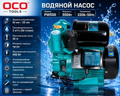 Nasos PW 550 1