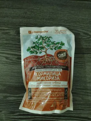 Mikoriza — kuchli ildiz tizimi va o‘simliklarni himoya qilish uchun biologik preparat 1