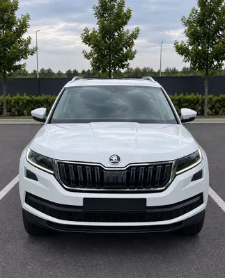 Skoda Kodiaq sotiladi 1