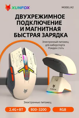 XunFox H2  - беспроводная мышь с док-станцией. 1