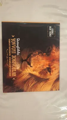 Книга-энциклопедия 1