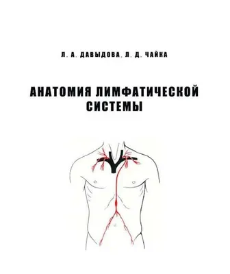 Davydova Chaykaning limfa tizimi anatomiyasi