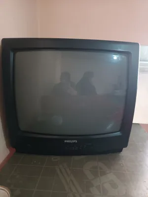 Oddiy televizor