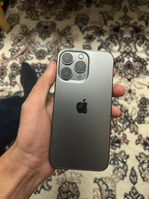 13 pro 1