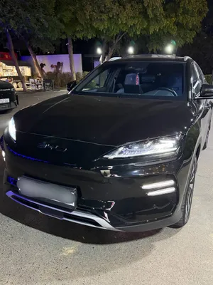 BYD Champion 1