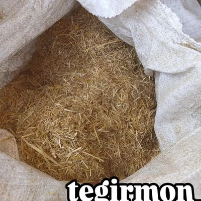 Somon tegirmon mayda Somon