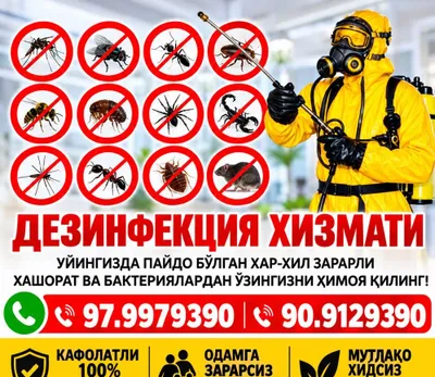 Дезинфекция Dezinfeksiya. Гарантия до 3 лет. 1