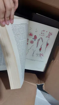 Tibbiyotga oid BME kitoblari 1