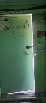 Дверь для подъезда 1