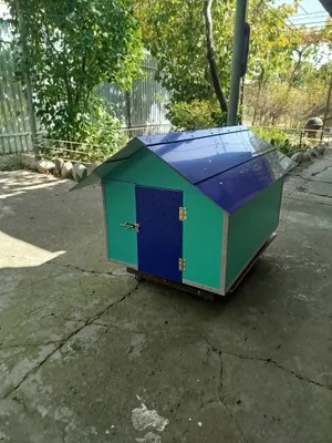 Shoshilinch! Uy hayvonlaringiz uchun turli o‘lchamdagi uylar sotiladi 1
