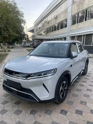 BYD Yuan Up: наличный расчёт и честная рассрочка 1