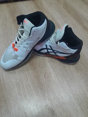 Asics Sky Elite FF 1