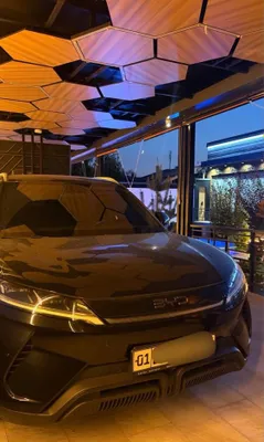 Byd yuan up 2025 1