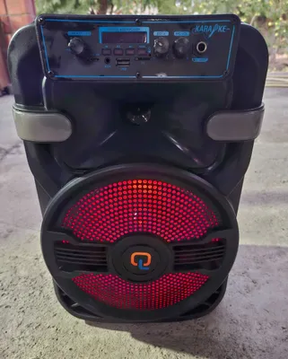 Yoritgichli va Bluetooth’li portativ karaoke kolonkasi 1