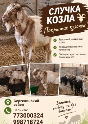 Покрытие козочек 1