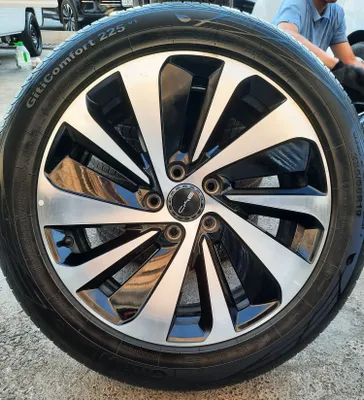 Byd chempion diska balon radnoy