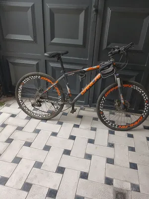 Velosiped Ganlan 26 1