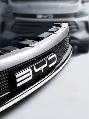 Передний средний светодиодный фонарь BYD CHAZOR 1