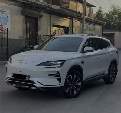 BYD Chempion 2025 Smart full 605 км