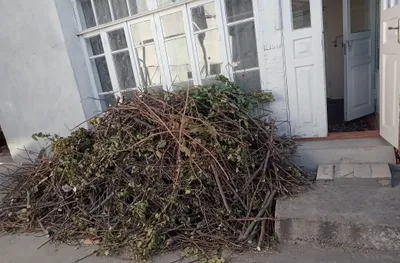 Тайор утин майдаланган