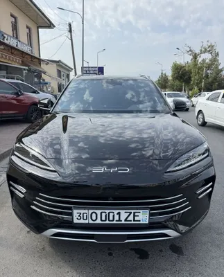 Byd song plus chempion gibrid 1