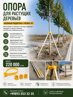 Daraxtlar uchun tayanch — shamol va qiyshayishdan himoya 1