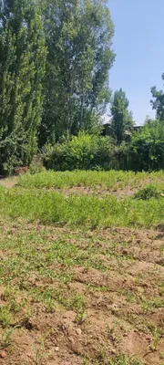 Продаётся земельный участок 1