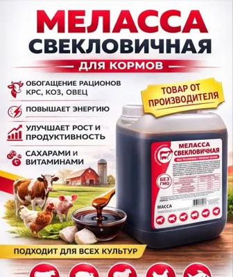 Mellassa sifatli arzon narxlarda 1