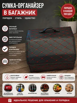 Органайзер для автомобиля / Чемодан для автомобиля 1