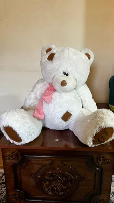 Oq teddy, juda chiroyli