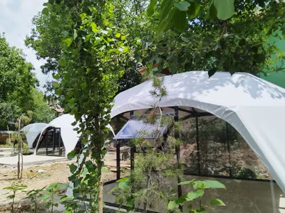Glamping. Besedka, kupola, gumbaz, aura. Глемпиг, Беседка, куполь, гум 1