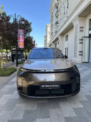 Новый Liauto Livis L9 1