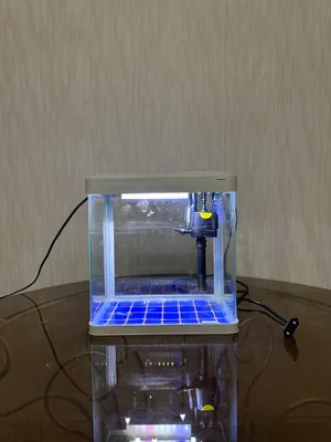 Аквариум 10 л, состояние отличное, срочно 1