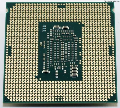 Intel Pentium G4400 1