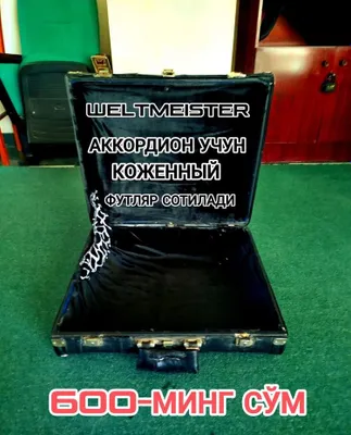 Футляр в отличном состоянии 1