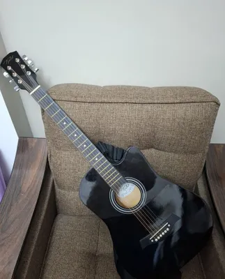 Akustik gitara 1