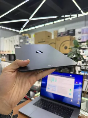 iPad Pro 11 M4 1