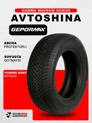 Зимняя шина Gepromax 4s2 1